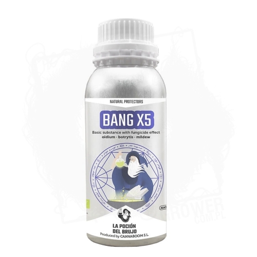 BANG X5 600ML.jpg