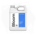 bloom 2.jpg