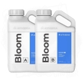 bloom 1.jpg