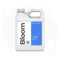 bloom 3.jpg
