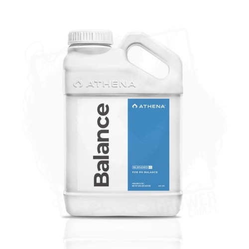athena Balance 1.jpg
