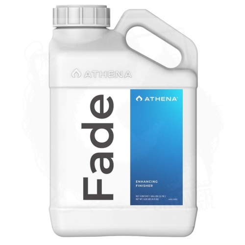athena FADE 1.jpg