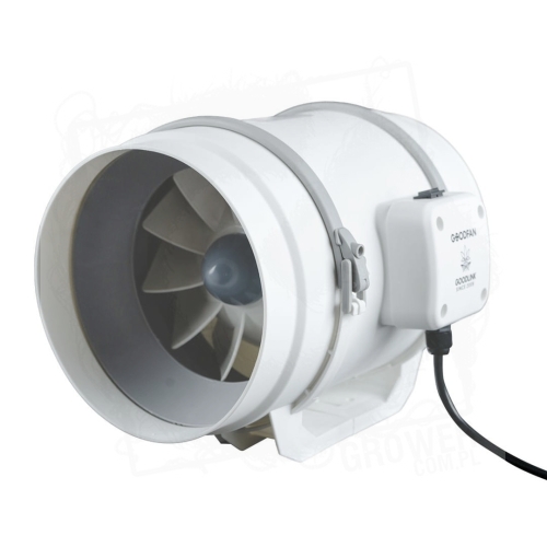 fi 200 i wieksze.jpg