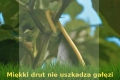 BudTrainer-BudHuggers-15m-czarny-miekkie-wiazanie-do-treningu-i-podwiazywania-roslin 2.jpg
