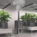 AC Infinity CLOUDFORGE T7 15L 1300ml/h 10 programów ultradźwiękowy nawilżacz 6.jpg