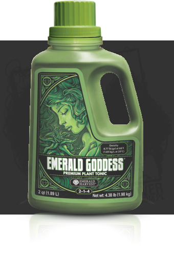 emerald goddess.png