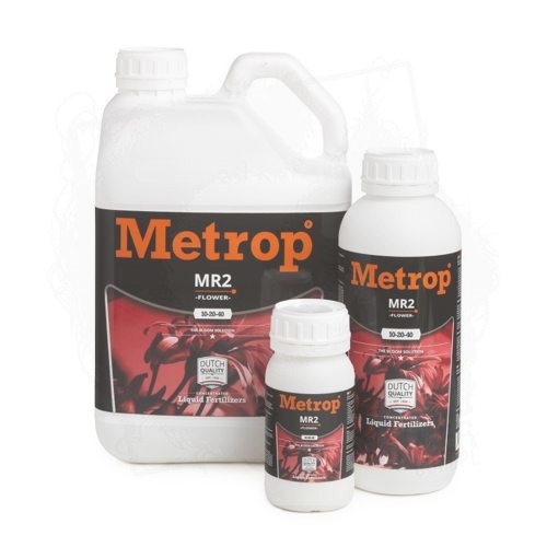 Metrop MR 2 FLOWER.jpg
