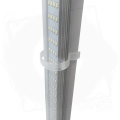 LED Secret Jardin TLED 5BT.jpg