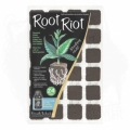 ROOT RIOT 24 - taca na 24 sadzonki 1.jpg