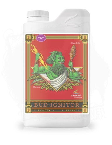 Bud-Ignitor 2.jpg