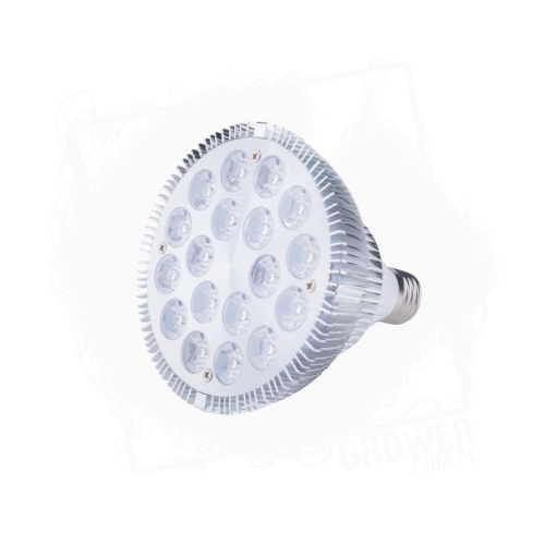 Żarówka LED duża.jpg