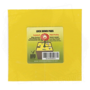 Pułapka owadobójcza Lock Down Pads - 8 szt. 15x15cm niezastąpiona w zwalczaniu owadów latających i nielatających