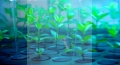 X-stream-Aeroponic-120 BT (3).jpg