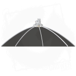 Daisy ?100 cm 2 BT.jpg