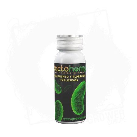 Bactohemp 10g BT.jpg
