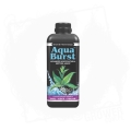 Aqua-Burst BT.jpg
