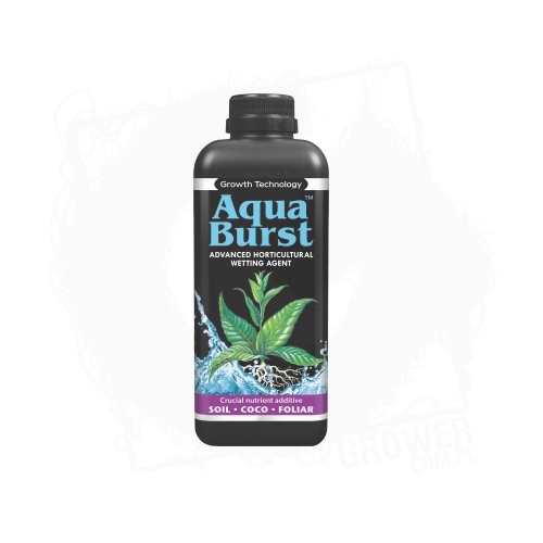 Aqua-Burst BT.jpg