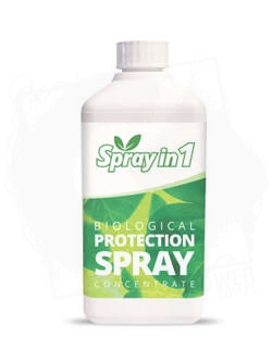 spray in 1.jpg