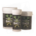 BAC Funky Fungi ALL BT.jpg