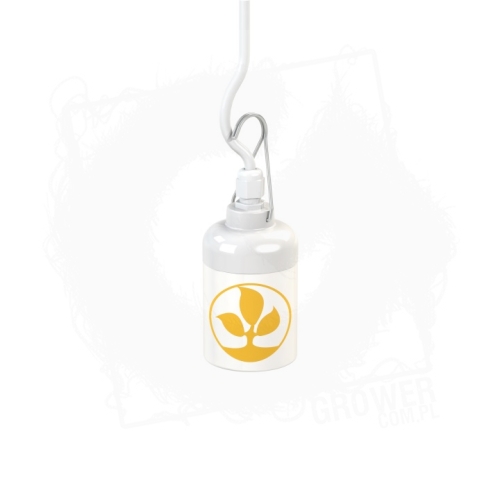 E40 Secret Jardin BT.jpg