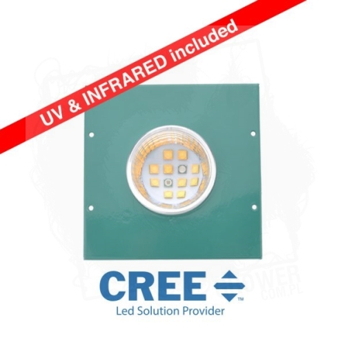 Wymienny moduł COB CREE XTE Full Cycle 30W.jpg