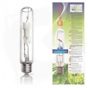 Lampa/żarówka 600W MH Cultilite - Wzrost