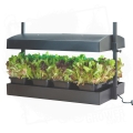 Garland Micro Grow Light Garden 2.jpg