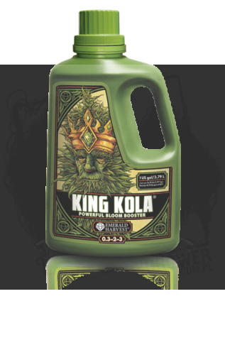 king kola 1.png