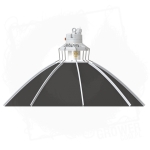 Daisy ?60 cm 2 BT.jpg