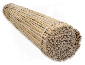 Bambusowa tyczka do podtrzymywania roślin 5 x 60cm