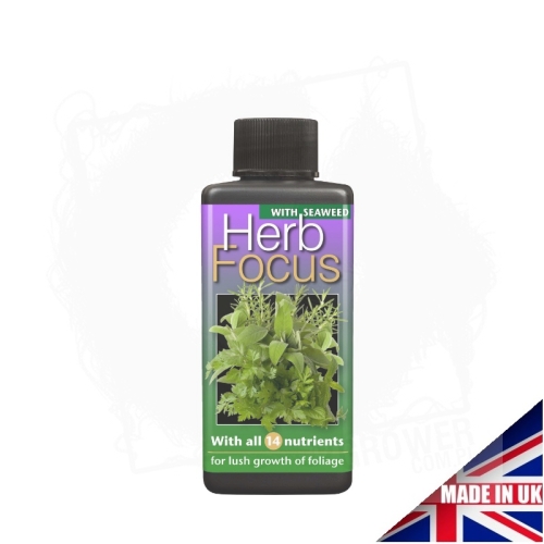 Herb Focus 100ml.jpg