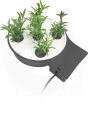 AutoPot AQUA Plate - zestaw na wzrost wegetatywny w systemie 1Pot  XL 3 BT.jpg