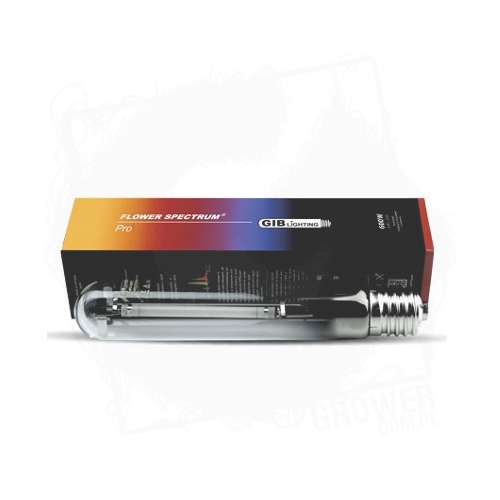 600W GIB FS PRO.jpg