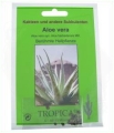 Aloe Vera.jpg