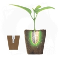 ROOT! T Natural Sponge naturalne gąbki torfowe 50szt  (1).jpg