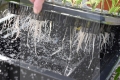 X-stream-Aeroponic-120 BT(4).jpg