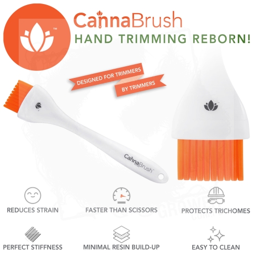 CannaBrush #1.jpg