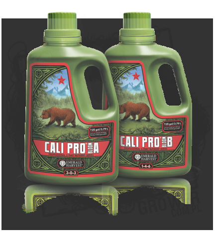 cali pro bloom 1.png