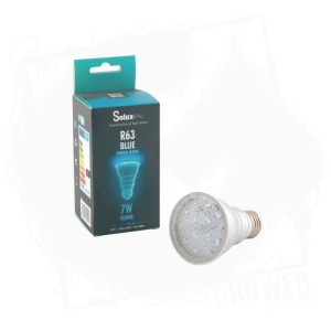 Żarówka LED Solux Pro R63 Blue - faza wzrostu