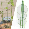 Herbgarden Flower-Support Bracket 7.jpg