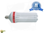 CFL Phytolite Greenpower 250W_BT.jpg