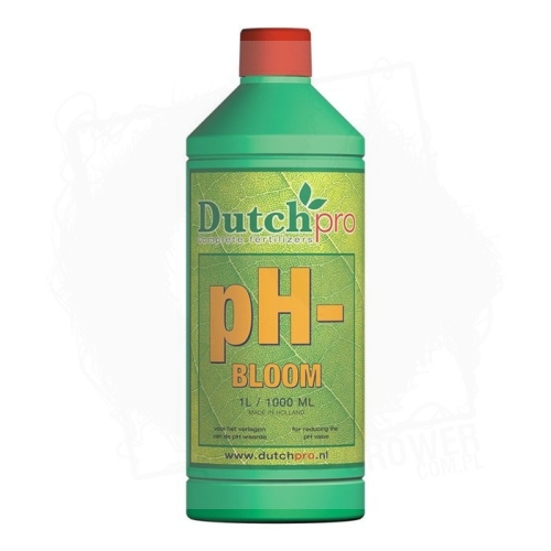 dutchpro ph- bloom.jpg