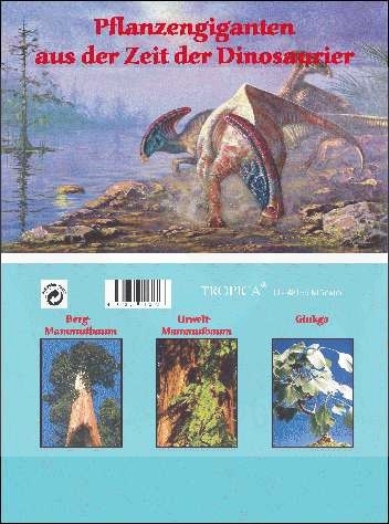 Rośliny giganty z epoki dinozaurów.jpg