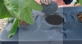 System hydroponiczny DWC Oxypot Nutriculture 3.jpg