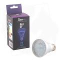 solux led uv 1.jpg