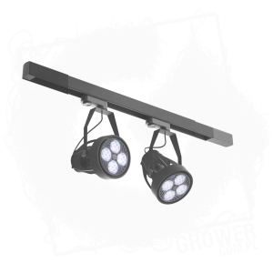 VertiCana czarny zestaw oświetleniowy 2x35W, soczewka do wyboru