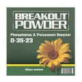 Aptus Breakout Powder 100g.jpg