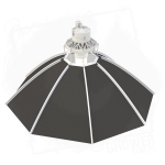 Daisy ?60 cm 4 BT.jpg