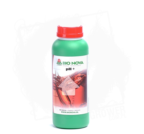 PH + 1L.jpg