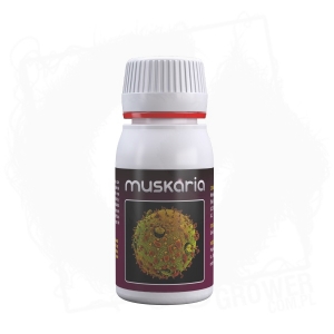 Muskaria 60ml koncentrat - zapobiega/regeneruje po stresach, chorobach grzybowych